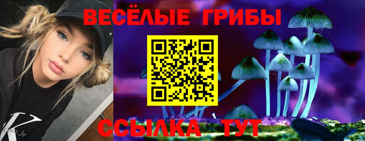 Губкинский  Псилоцибиновые грибы GOLDEN TEACHER  Вход с VPN  Галлюциногенные грибы GOLDEN TEACHER 